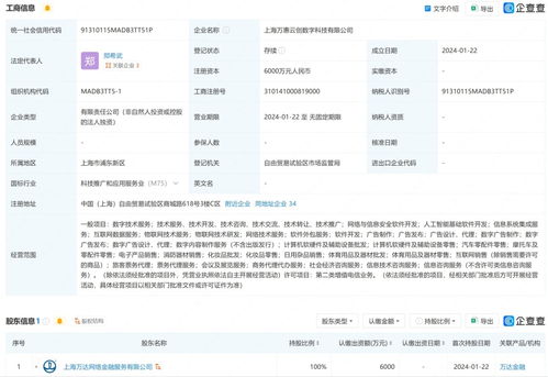萬達在上海成立數字科技公司 布局互聯網銷售與基礎軟件服務